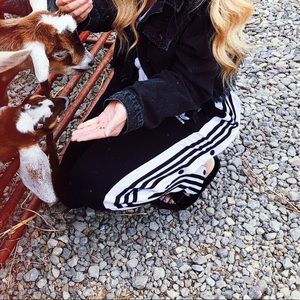 Adidas Snap Up Sweatpants